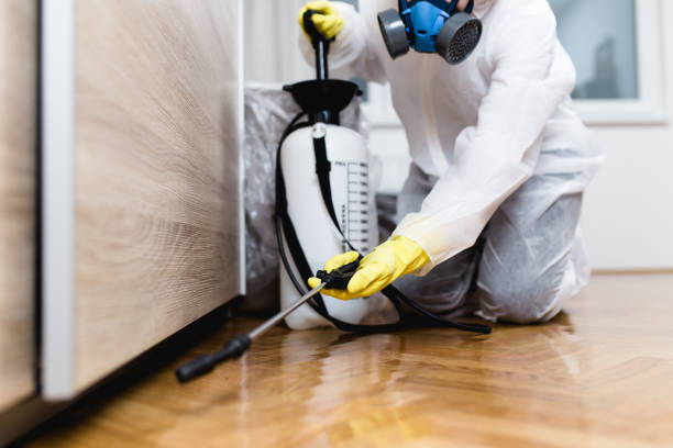 Reliable Birmingham, MI Pest Control Solutions
