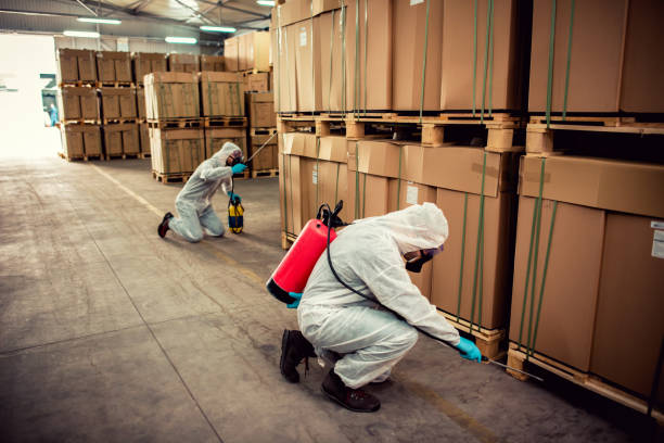 Best Rat Extermination Near Me  in Birngham, MI
