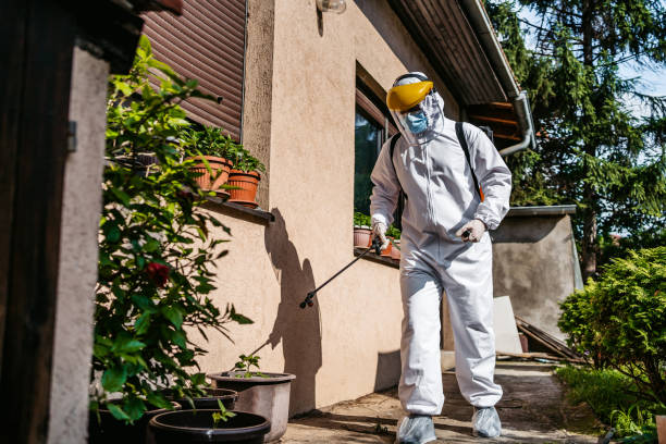 Best Termite Control Services  in Birngham, MI