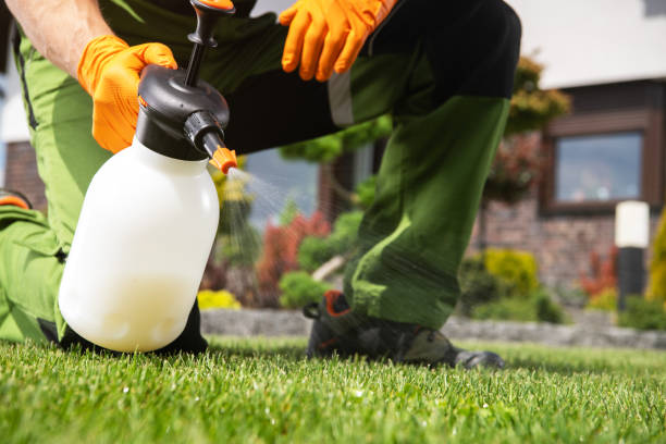 Best Termite Control Services  in Birngham, MI