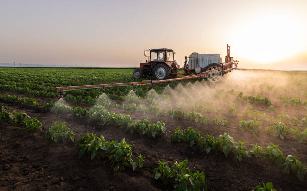 Best Mosquito Control Services  in Birngham, MI