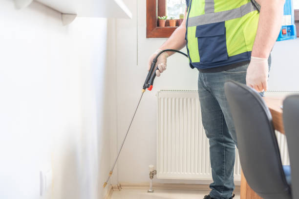 Best Affordable Pest Control Services  in Birngham, MI