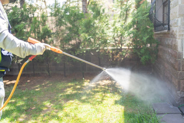 Best Pest Control Treatment  in Birngham, MI