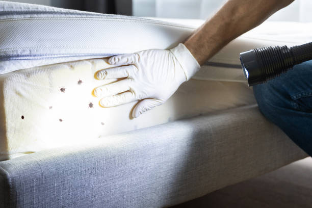 Best Best Pest Control Companies  in Birngham, MI