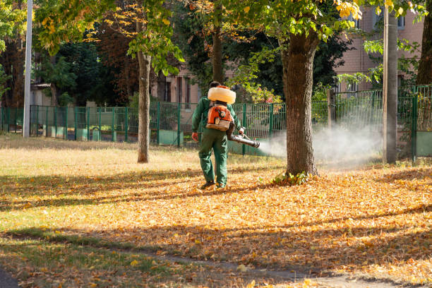Best Rodent Control Near Me  in Birngham, MI