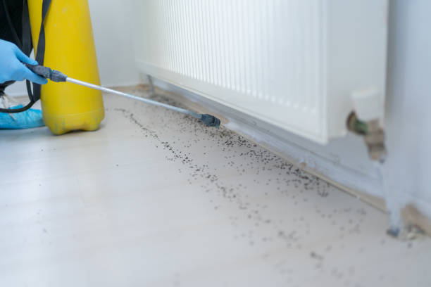 Best Cockroach Control Services  in Birngham, MI