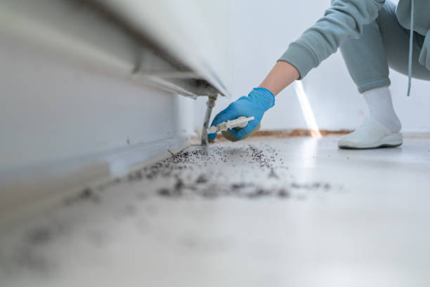 Pest Prevention Services in Birmingham, MI